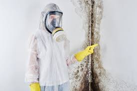 Mold Remediation for Rental Properties in Jericho, NY